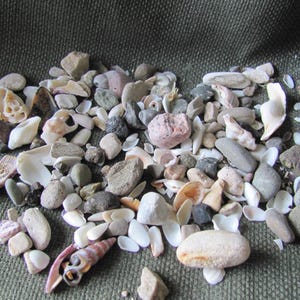 Lot of Assorted Small Beach Rocks Pebbles Shells Natural // Pacific Beach Sea Southern California  *Buy The Shore*