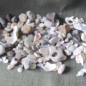 Lot of Assorted Small Beach Rocks Pebbles Shells Natural // Pacific Beach Sea Southern California  *Buy The Shore*