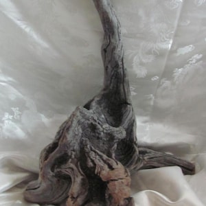 Unique Large Beach Driftwood Piece 16" Tall // Natural Pacific Ocean Drift Wood // Much more to choose from in my shop! *Buy The Shore*