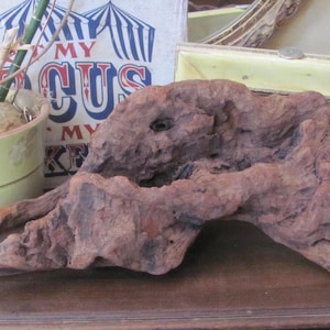 Unique Large Beach Driftwood Piece 20" Tall // Natural Pacific Ocean Drift Wood // Much more to choose from in my shop! *Buy The Shore*