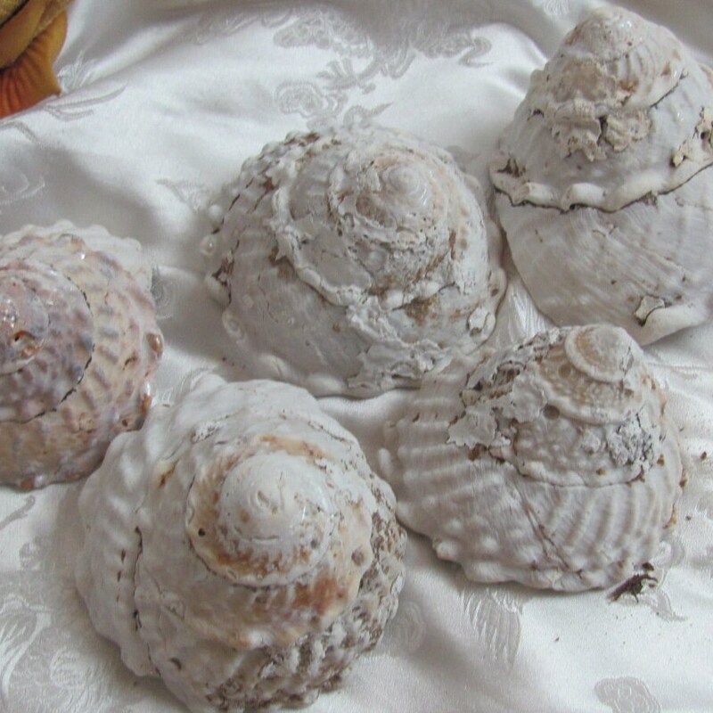 Pearl Turban - Etsy