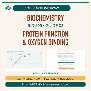 BIO 305 Protein Function and Oxygen Binding Study Guide | Biochemistry PDF