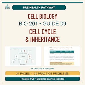 以下が含まれることがあります： Pre-Health Pathwayの教育ガイド「Cell Biology BIO 201 Guide 09 Cell Cycle & Inheritance」。細胞分裂の図、DNA含有量測定表、31ページ、30問の練習問題、印刷可能なPDF形式が含まれています。