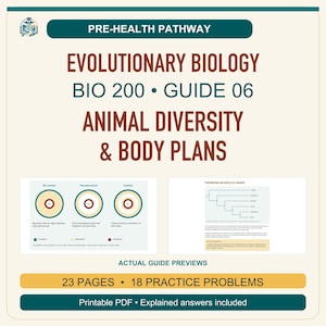 Könnte beinhalten: Ein Pre-Health Pathway Studienführer mit dem Titel Evolutionary Biology BIO 200 Guide 06 Animal Diversity & Body Plans. Er enthält zwei Diagramme zu Coelom-Typen und Wirbeltier-Abstammung, 23 Seiten, 18 Übungsaufgaben und ein druckbares PDF.
