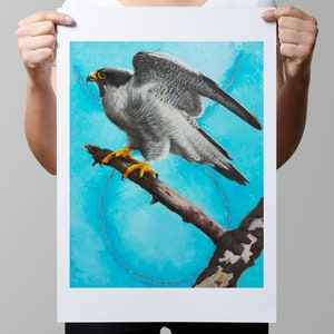 Peregrine Falcon Print