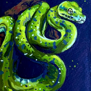 Può includere: Un serpente verde brillante con macchie blu e bianche avvolto attorno a un ramo di un albero su uno sfondo blu scuro. Il dipinto presenta una firma nell'angolo in basso a destra e mostra uno stile artistico dettagliato e strutturato.