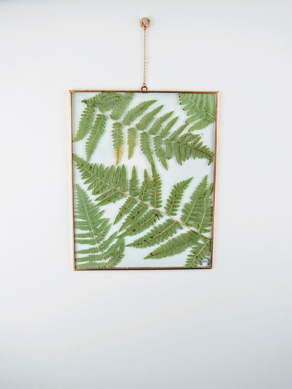 Craft Supplies Tools Frames 10 X 20 Copper Double Glass Pressed Ferns Wall Hanging