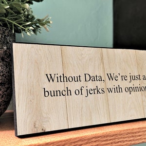 Without Data We're Just A Bunch of Jerks With Opinions Desk Plaque, Office Desk Decor, Teacher Gift, Professor Plaque, Funny Saying Sign