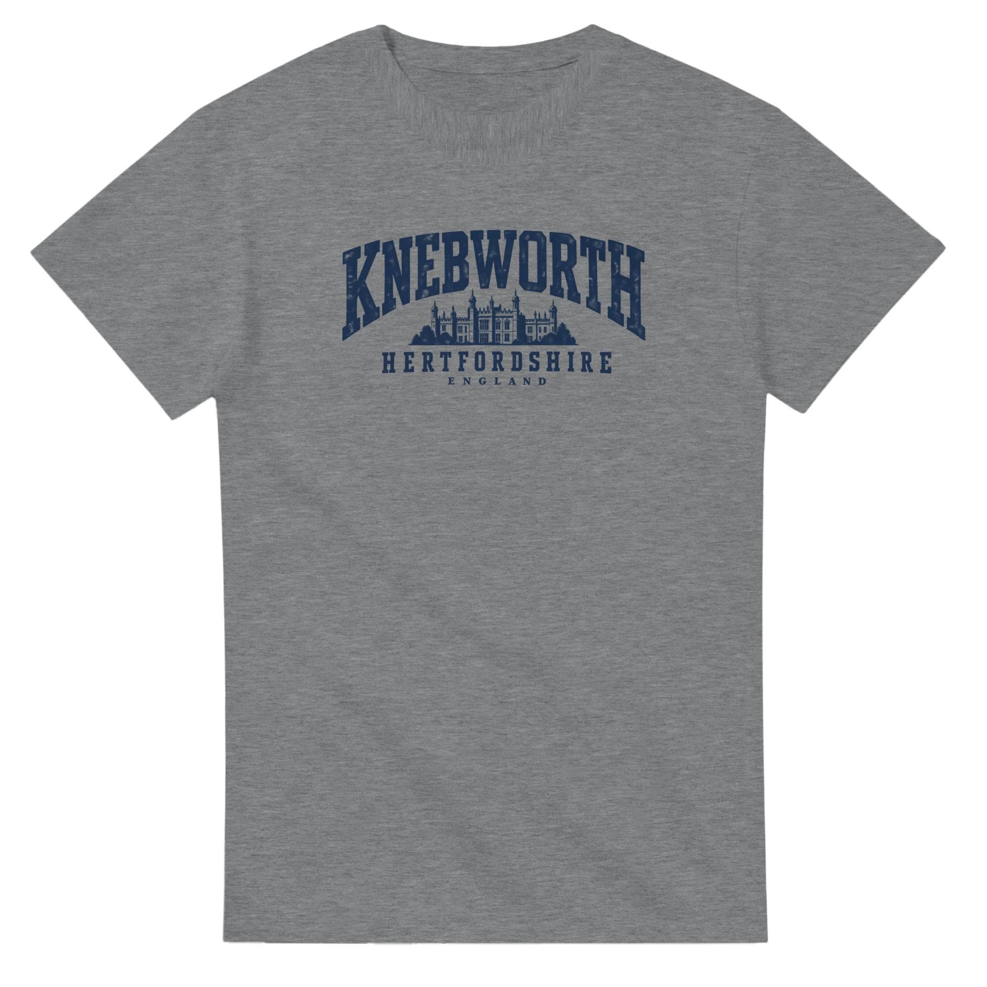 Oasis T Shirt Knebworth - Etsy
