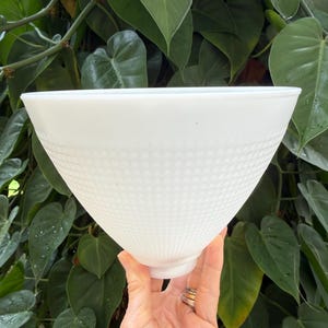 May include: A white, cone-shaped bowl with a textured, dotted pattern on the lower half. The bowl is held against a backdrop of green leaves. The bowl's design is simple and elegant, suitable for various uses.
