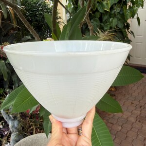 May include: A white, cone-shaped bowl with a textured, ribbed design. The bowl has a wide opening and a smaller, rounded base. The bowl is held up by a hand. The background includes green foliage and a brick patio.