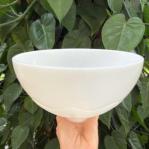 May include: A white ceramic bowl with a wide, rounded shape. The bowl has a textured, ridged design around the base. The background features lush green leaves. The bowl is held by a person's hand.
