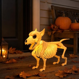 Puede incluir: Una decoración de esqueleto de perro iluminada hecha de plástico color hueso con una caja torácica hueca y la mandíbula abierta. La figura emite un cálido resplandor amarillo desde su interior, con orejas puntiagudas y una cola sobre el suelo.