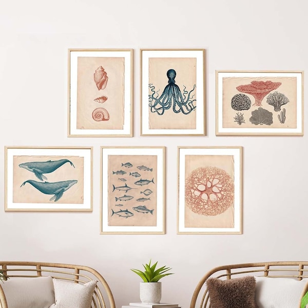 Marine Gallery Wall Art, Gallery Wall Set of 6, Boho style art, Ocean Illustration Art, , Bohemian Wall Decor, Vintage Etching Art