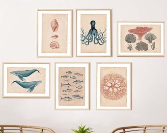 Marine Gallery Wall Art, Gallery Wall Set of 6, Boho style art, Ocean Illustration Art, , Bohemian Wall Decor, Vintage Etching Art