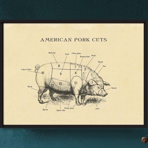 Carte de boucher de porc américain, coupes de viande, impression de style gravure, décor d'animaux de ferme
