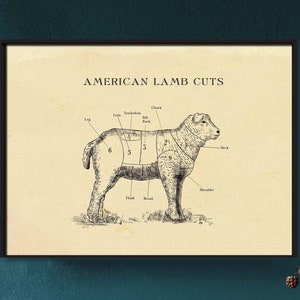 Carte de boucher d'agneau américain, coupes de viande, impression de style gravure, décor de ferme