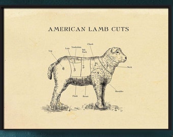 AMERICAN LAMM Metzgerkarte, Fleischstücke, Ätzstil Druck, Bauernhausdekor