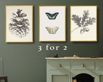 Vintage Kitchen chart prints, 3 for 2, Pinecone, Butterfly, Acorn print, lounge decor. Natural decor.