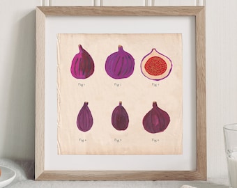 Fig Food Print, Botanical Illustration, Decor for Kitchen