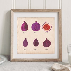 Fig painting, Fig Food Print, Botanical Illustration, Decor for Kitchen