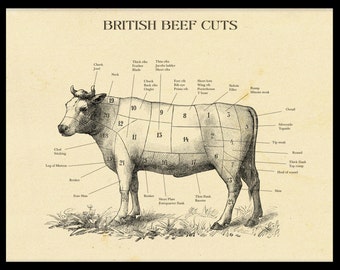 Antique Butcher Chart