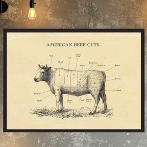 Impression vache américaine coupée en bœuf, carte de boucher, gravure vintage