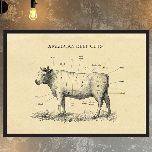 AMERICAN Beef cut cow print, Butcher chart, vintage etching print