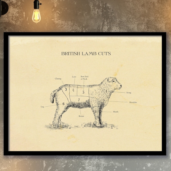 Lamm Schnitte Diagramm, Vintage Butcher Diagram