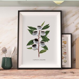 Botanical Coffee Poster, Coffee Art Print, Kitchen wall art, coffee bar, UNFRAMED