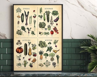 Seasonal Fruit and Veg poster, (UK version) Vegetable Chart, Botanical art, Farmhouse Print, ALL sizes