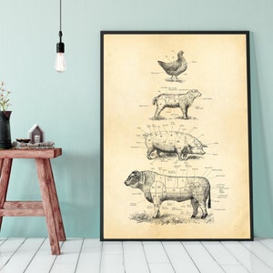 Impresión de cuadro de carnicero francés, diagrama de cortes de carne, impresión de cocina de granja, arte de carnicero