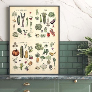 French seasonal fruit and vegetable chart. print separated into 4. Spring, summer, autumn winter titles, etchings in each of fruit and veg, set on an aged antique style background. Vintage but modern style. Each image has what it is in French under.