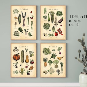 FOUR SEASON set of 4 seasonal fruits & vegetables prints, etching vintage style, nutrition diet, kitchen art print decor