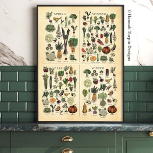 AMERICAN NE Seasonal Fruit and Veg poster, Vegetable Chart, Botanical art, Farmhouse Print,