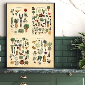 AMERIKAANSE Midwest seizoensgebonden groenten- en fruitposter, groentekaart, botanische kunst, boerderijprint,