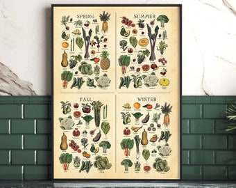 CALIFORNIAN seasonal fruit and veg Chart, Vintage etching fruit and vegetables print