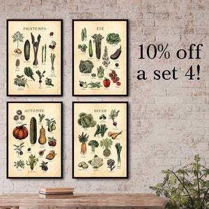 Tableau des fruits et légumes de saison, gravures vintage, 10 % de réduction !