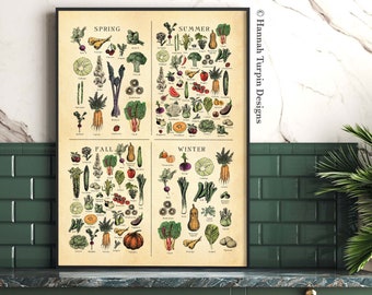 AMERICAN NW Seasonal Fruit and Veg poster, Vegetable Chart, Botanical art, Farmhouse Print,