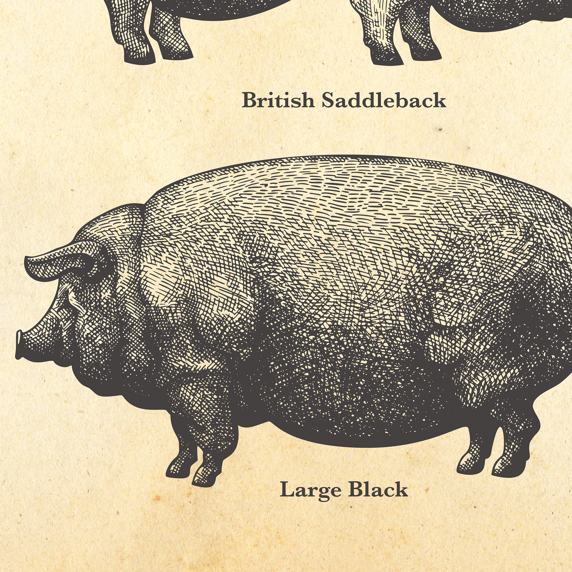 イギリス購入★木製額入り絵 PIG & SHEEP イギリス購入☆木製額入り絵 PIG & SHEEP