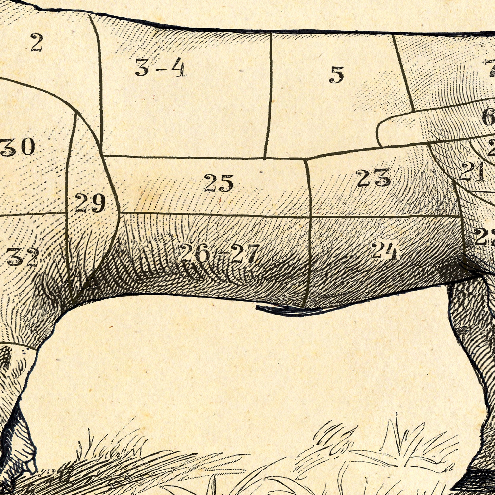 FRENCH Beef Cuts Butcher Chart PORTRAIT Print Meat Cuts Etsy Australia