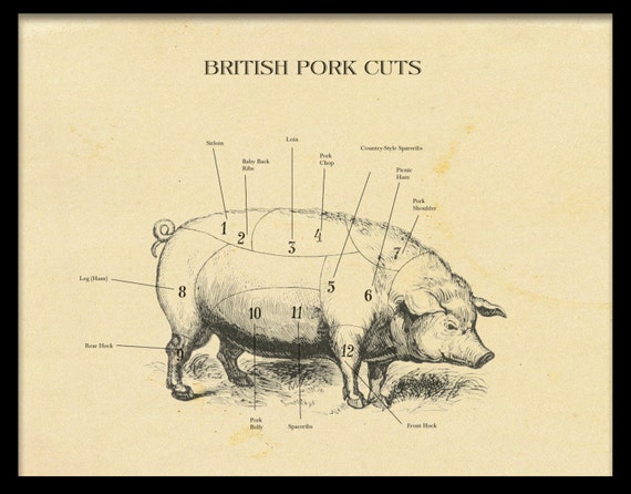 Pig Chart Meat Cuts