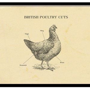 BRITISH Huhn Metzgerei Karte, alle Größen, Etching Print, Huhn schnitte Plakat