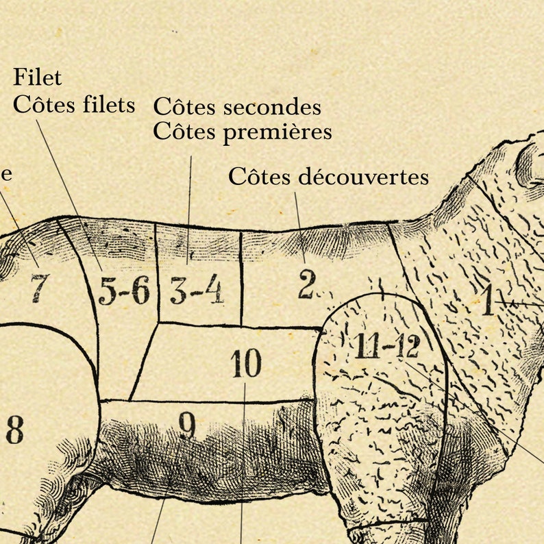 FRENCH Lamb Cuts Chart Butcher Chart All Sizes Etching Etsy