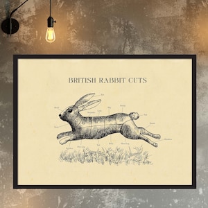 Carte de boucher de lapin BRITANNIQUE, coupes de viande, impression de style eau-forte. Toutes les tailles