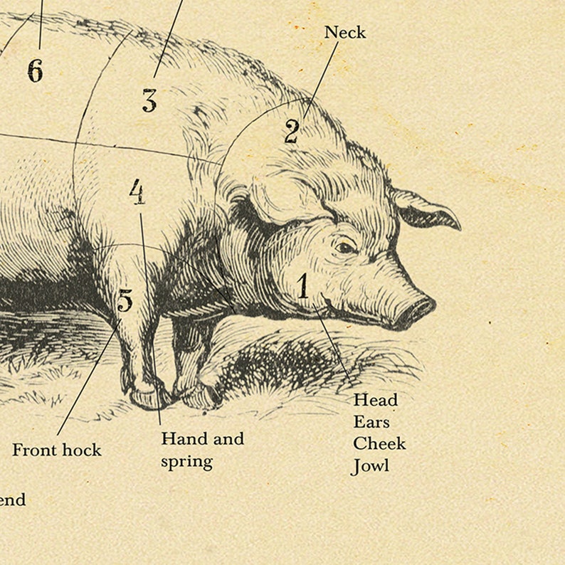 BRITISH Pork Cuts Pig Diagram Home Decor Kitchen Print - Etsy