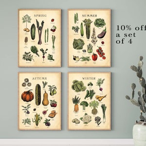 Stampa di tabelle di frutta e verdura di stagione del Regno Unito, stampe d'epoca con incisioni all'acquaforte. Sconto del 10%!