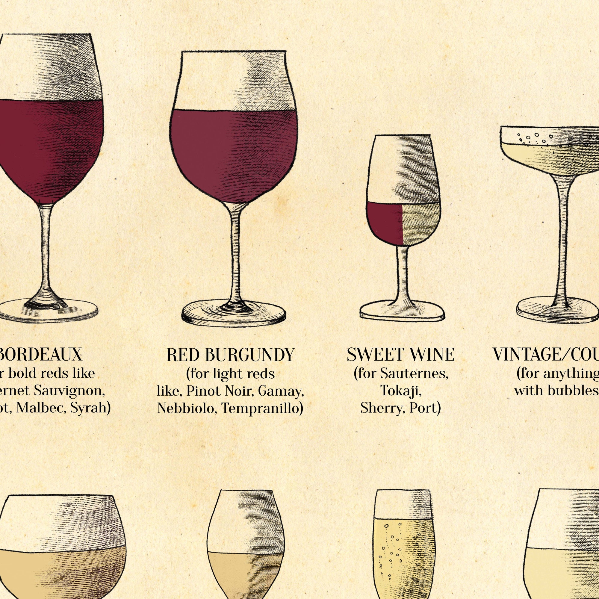 Different types of wine glasses discount