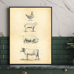 Tabla de cortes de carne americana, impresión de cortes de carnicero, todos los tamaños, impresión de grabado vintage, impresión de cocina de granja