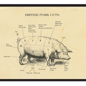 BRITISH Pork Charcuterie Print, Animal Diagram, Vintage Butcher Print. All sizes